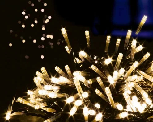 LED vs Halogen Landscape Lights