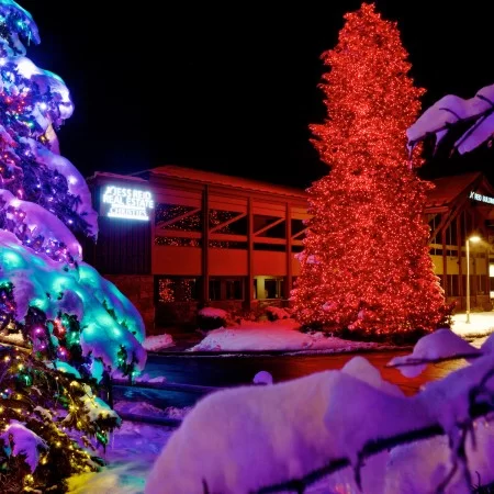 Brite Nites Tree Lighting Styles